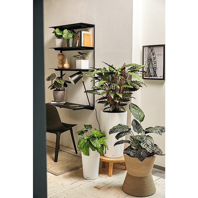 Lechuza Pflanzsäule rund Rondo Premium (Außenmaß (Ø x H): 32,5 x 56,5 cm, Kunststoff, Weiß) | BAUHAUS