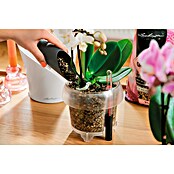 Lechuza Pflanzgranulat Orchidpon (3 l) | BAUHAUS