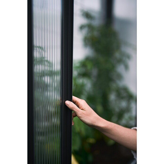 Biohort Florentina Gewächshaus (L x B x H: 104 x 201,6 x 213,4 cm, Dunkelgrau Metallic, Stahl) | BAUHAUS