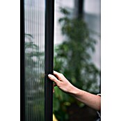 Biohort Florentina Gewächshaus (L x B x H: 104 x 201,6 x 213,4 cm, Dunkelgrau Metallic, Stahl) | BAUHAUS