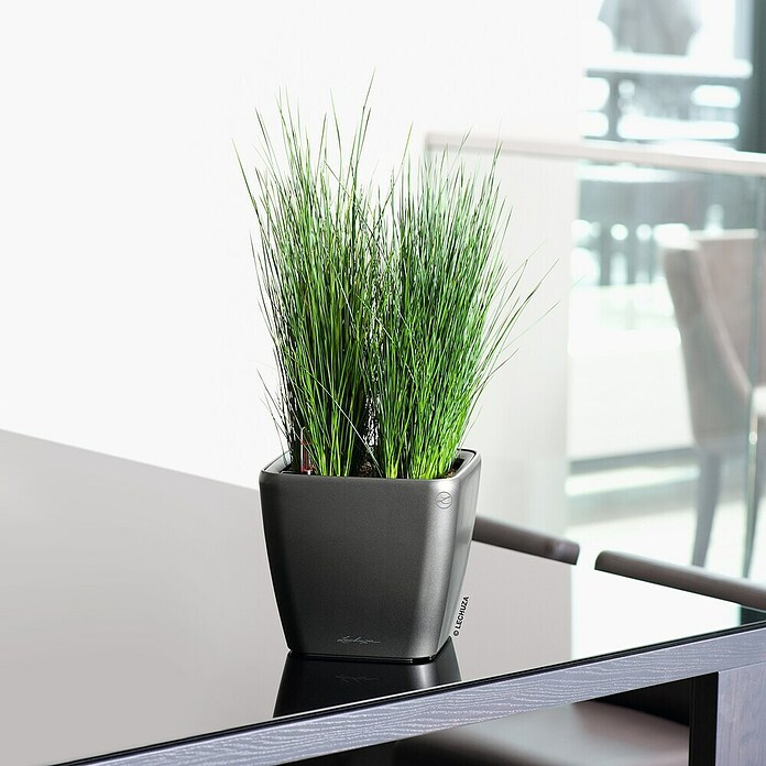 Lechuza Pflanzkasten Quadro Premium (Außenmaß (L x B x H): 22,5 x 22,5 x 20,5 cm, Kunststoff, Grau) | BAUHAUS