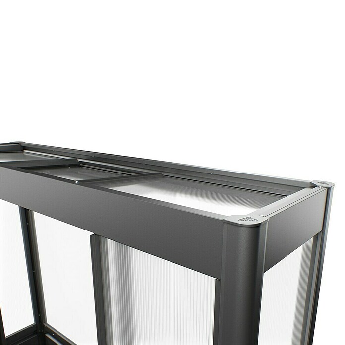 Biohort Florentina Gewächshaus (L x B x H: 104 x 201,6 x 213,4 cm, Dunkelgrau Metallic, Stahl) | BAUHAUS