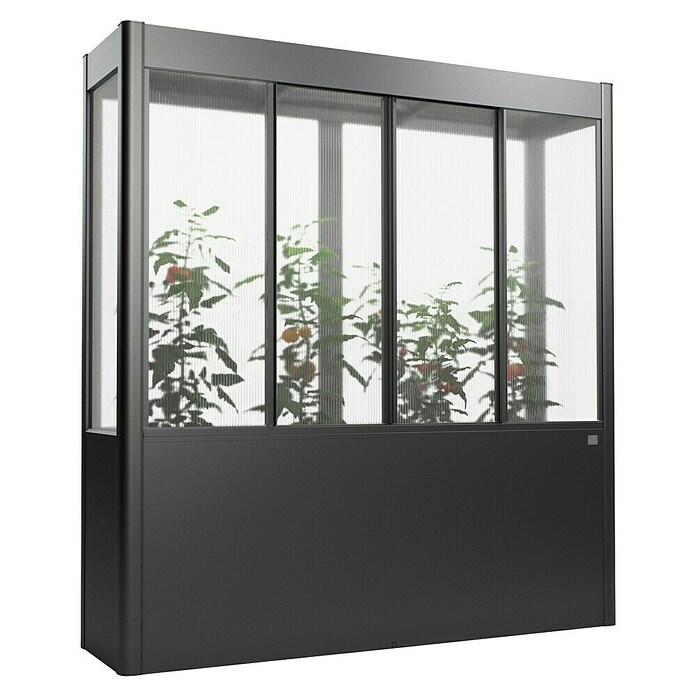 Biohort Florentina Gewächshaus (L x B x H: 54,8 x 201,6 x 213,4 cm, Dunkelgrau Metallic, Stahl) | BAUHAUS