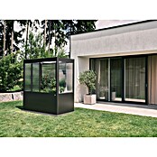 Biohort Florentina Gewächshaus (L x B x H: 104 x 201,6 x 213,4 cm, Dunkelgrau Metallic, Stahl) | BAUHAUS