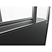 Biohort Florentina Gewächshaus (L x B x H: 54,8 x 201,6 x 213,4 cm, Dunkelgrau Metallic, Stahl) | BAUHAUS