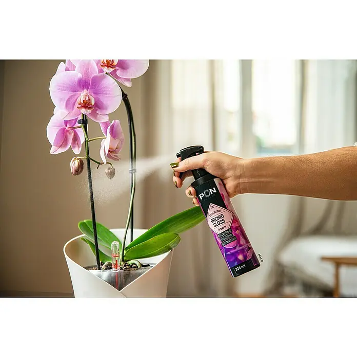 Lechuza Blattglanz Spray Perfect Orichd Gloss - 250 ml - Frau sprüht PON Orchid Gloss auf eine Orchidee, um Glanz und Pflege zu gewährleisten. 225ml Flasche für gesunde und glänzende Pflanzen.