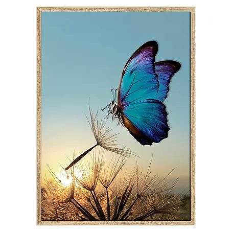 Cuadro de vidrio 3D Mariposa