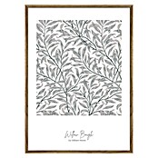Cuadro Botánico Willow Bough (Botánico Willow Bough, An x Al: 30 x 40 cm, 1 pzs.) | BAUHAUS