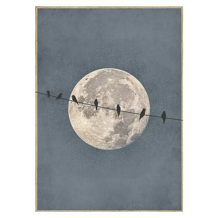 Cuadro Textura Nube Pájaros - Textura Nube Pájaros, An x Al: 50 x 70 cm, 1 pzs. - La imagen muestra aves estilizadas en una línea frente a una gran luna con polvo de estrellas, un hermoso arte de pared.