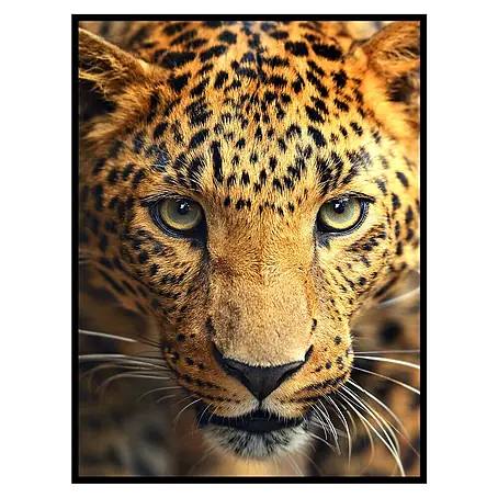 Cuadro de vidrio Leopardo