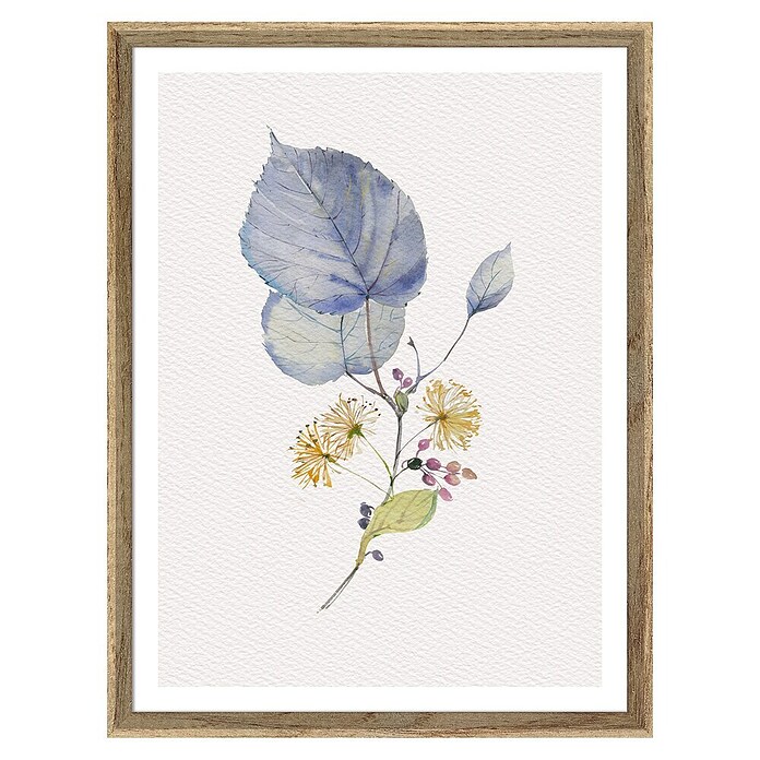 Cuadro Botánico Hoja azul (Botánico Hoja azul, An x Al: 30 x 40 cm, 1 pzs.) | BAUHAUS