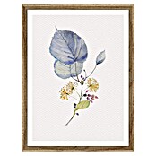 Cuadro Botánico Hoja azul (Botánico Hoja azul, An x Al: 30 x 40 cm, 1 pzs.) | BAUHAUS