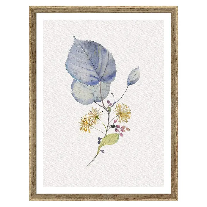 Cuadro Botánico Hoja azul - Botánico Hoja azul, An x Al: 30 x 40 cm, 1 pzs. - Impresión en acuarela con hojas y flores delicadas en tonos azules y amarillos, enmarcada y lista para colgar para una decoración de pared natural.