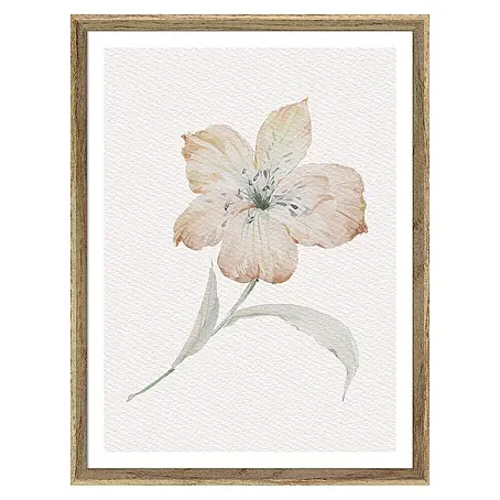 Cuadro Botánico Flor derecha