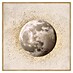 Cuadro Textura Luna Dorada 