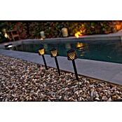 New Garden Estaca solar Gretita (L x An x Al: 7 x 7 x 39 cm, Negro, 4 lm) | BAUHAUS