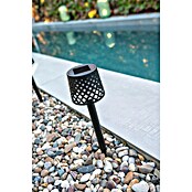 New Garden Estaca solar Gretita (L x An x Al: 7 x 7 x 39 cm, Negro, 4 lm) | BAUHAUS
