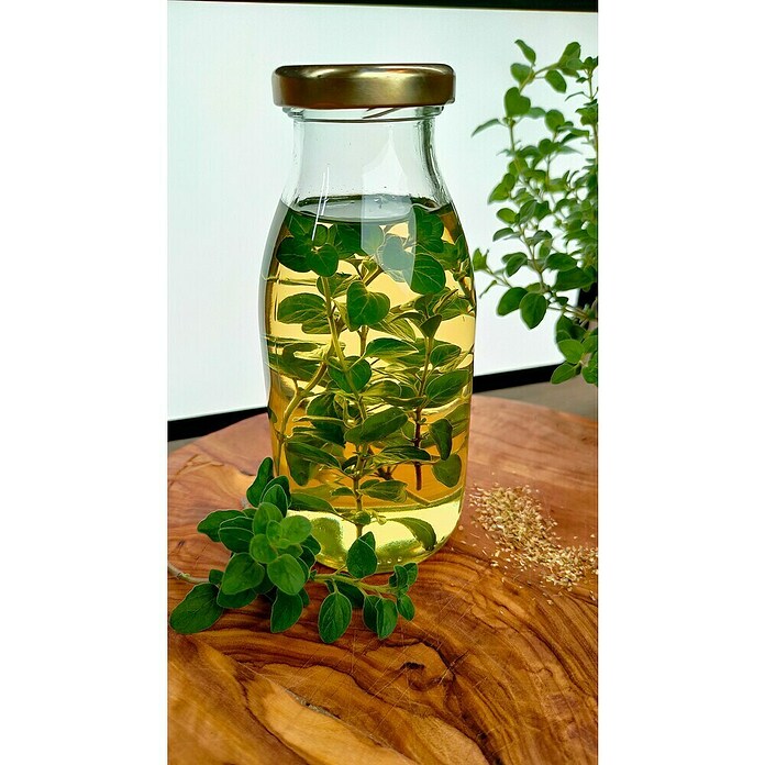 Origanum majorana 12BIO