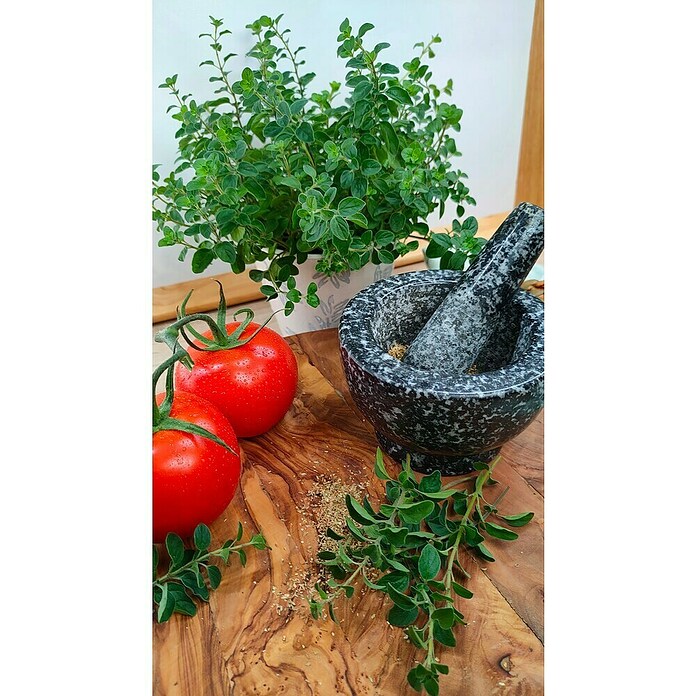 Origanum majorana 12BIO