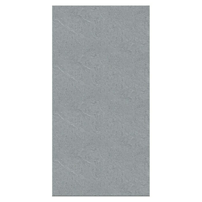 Panel de pared SPC Cast Grey (Gris, 1.250 x 600 mm) | BAUHAUS