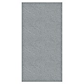 Panel de pared SPC Cast Grey (Gris, 1.250 x 600 mm) | BAUHAUS