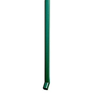 Biohort Europa Regenfallrohr-Set (Farbe: Dunkelgrün, Länge: 1,7 m, 2 Stk.)