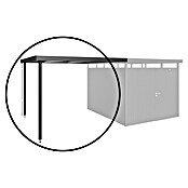 Biohort HighLine Seitendach (Passend für: Biohort Gerätehaus HighLine H5, Dunkelgrau Metallic, 2,75 x 3,15 m)