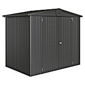 Biohort Gerätehaus Europa (Dunkelgrau Metallic, 1,56 x 2,44 x 2,03 m, Stahlblech)