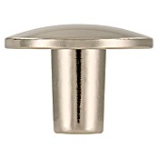 Siro Möbelknopf (Typ Möbelgriff: Knopf, Sonstige, Vernickelt, Silber, Durchmesser: 30 mm) | BAUHAUS