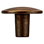 Siro Möbelknopf (Typ Möbelgriff: Knopf, Sonstige, Sonstige, Goldgelb, Durchmesser: 30 mm) | BAUHAUS