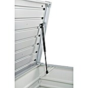Biohort Garten-Aufbewahrungsbox FreizeitBox 100 (Silber Metallic, 101 x 46 x 61 cm)