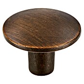 Siro Möbelknopf (Typ Möbelgriff: Knopf, Sonstige, Sonstige, Goldgelb, Durchmesser: 30 mm) | BAUHAUS