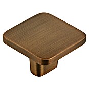 Siro Möbelknopf (Typ Möbelgriff: Knopf, Sonstige, Sonstige, Goldgelb, Länge: 33 mm) | BAUHAUS
