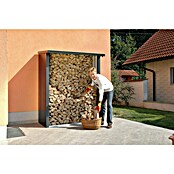 Biohort Kaminholzregal WoodStock (Dunkelgrau Metallic, 1,02 x 1,57 x 1,99 m, Stahlblech)