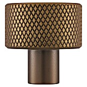 Siro Möbelknopf (Typ Möbelgriff: Knopf, Sonstige, Sonstige, Goldgelb, Breite: 24 mm) | BAUHAUS