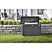 Biohort Garten-Aufbewahrungsbox FreizeitBox 100 (Dunkelgrau Metallic, 101 x 46 x 61 cm)