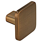 Siro Möbelknopf (Typ Möbelgriff: Knopf, Sonstige, Sonstige, Goldgelb, Länge: 33 mm) | BAUHAUS