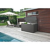 Biohort Garten-Aufbewahrungsbox FreizeitBox 160 (Dunkelgrau Metallic, 160 x 79 x 83 cm, Stahlblech)