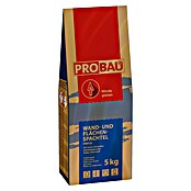 Probau Wand- & Flächenspachtel (5 kg, Chromatarm, Hydraulisch erhärtend)