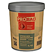 Probau Steinchengrundierung Boden (0,75 l, Geeignet für: Steinchenteppich)
