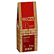 Probau Zement (5 kg, Chromatarm)