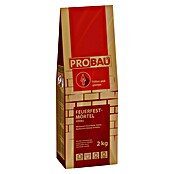 Probau Feuerfestmörtel (2 kg)