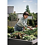 Biohort Hochbeet (102 x 201 cm, Stahlblech, Quarzgrau Metallic)