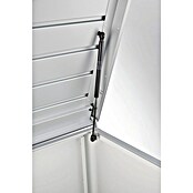 Biohort Garten-Aufbewahrungsbox LoungeBox 200 (Silber Metallic, 200 x 84 x 88 cm, Stahlblech)