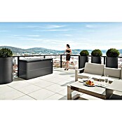 Biohort Garten-Aufbewahrungsbox LoungeBox (Dunkelgrau Metallic, 160 x 70 x 84 cm, Stahlblech)