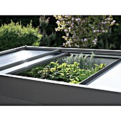 Biohort Frühbeet-Aufsatz (Passend für: Biohort Hochbeet Gr. 2x1)