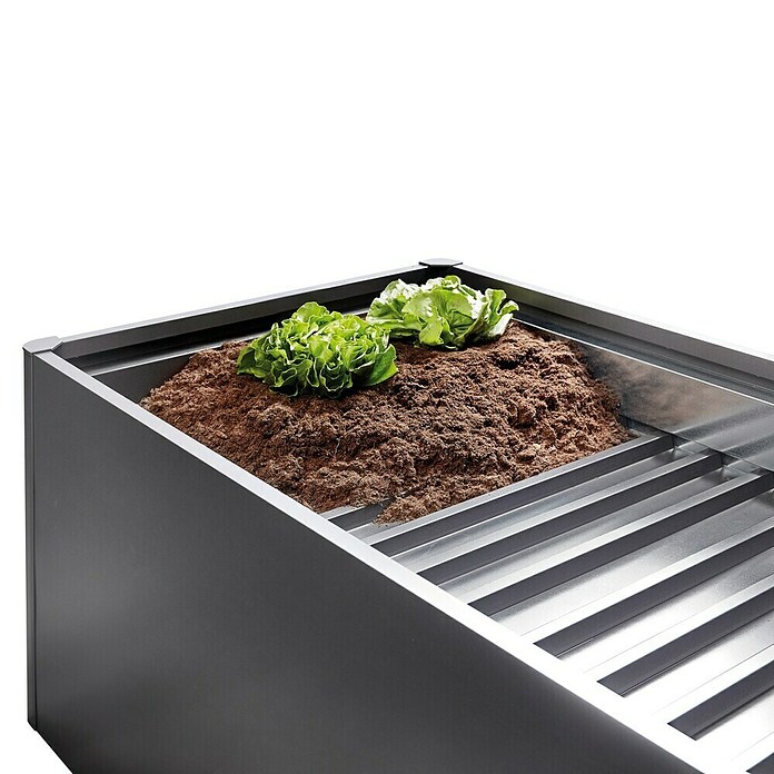 Biohort Zwischenboden (Passend für: Biohort Hochbeet 1 x 1 m, 1 x 1 m)