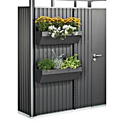 Biohort Blumenkasten FloraBoard (Länge: 82 cm, Dunkelgrau Metallic)