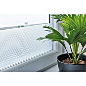 D-c-fix Glasfolie (200 x 45 cm, Steps, Selbstklebend)