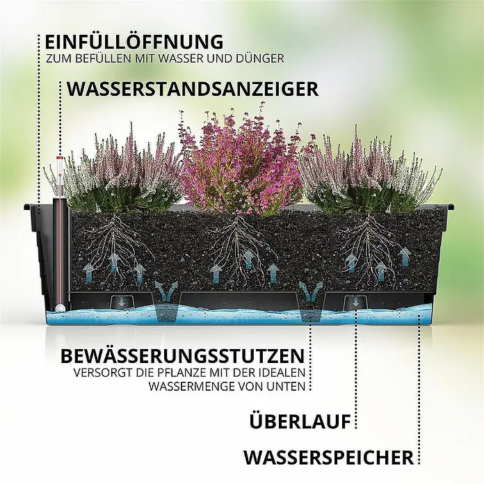 Plastard Pflanzkasten Milano 3er Set mit Hydroeinsatz & Wasserstandsanzeiger Anthrazit - Außenmaß (L x B x H): 80 x 21 x 17 cm, Kunststoff, Anthrazit